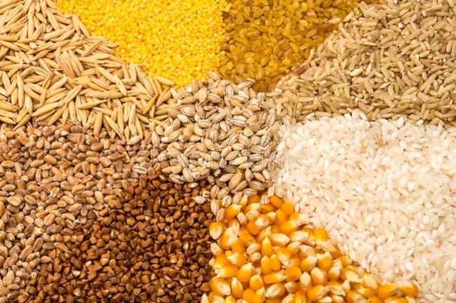 پیش بینی جدید از وضعیت بازار جهانی غلات