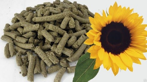 تبعات حذف کنجاله آفتابگردان از فهرست کالاهای اساسی برای تامین کنندگان/ اتحادیه آوندا پیگیر است